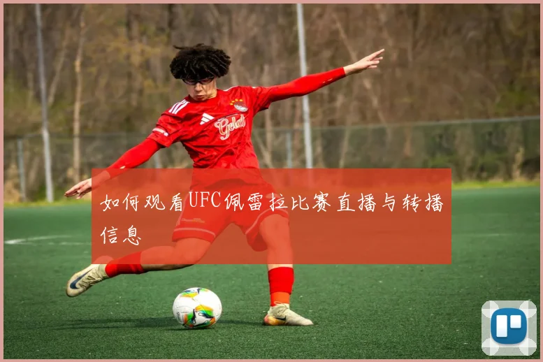 如何观看UFC佩雷拉比赛直播与转播信息