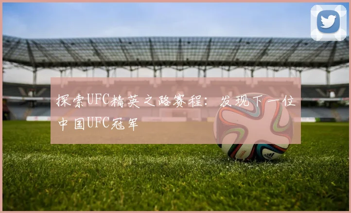 探索UFC精英之路赛程：发现下一位中国UFC冠军