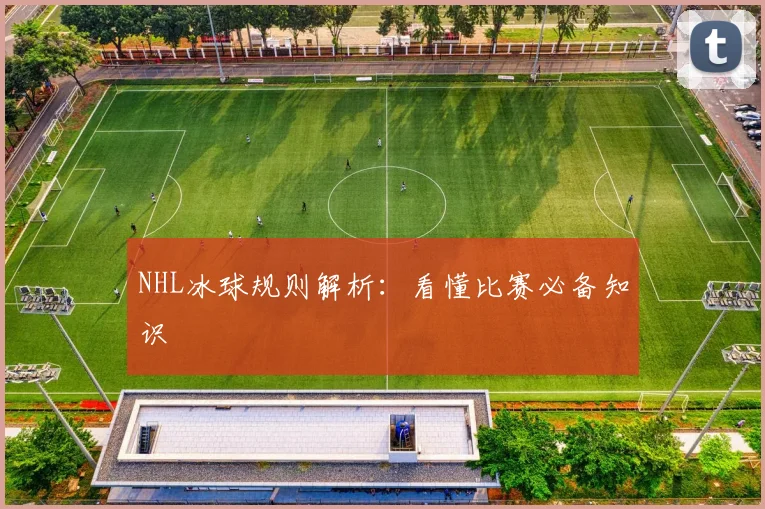 NHL冰球规则解析：看懂比赛必备知识