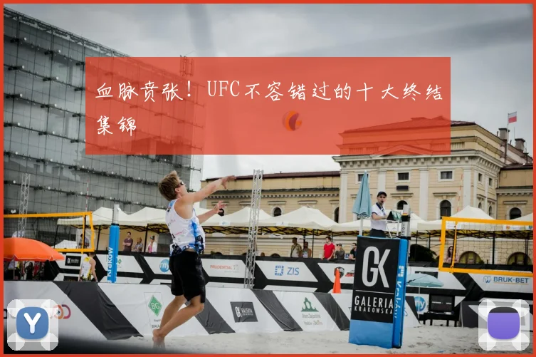 血脉贲张!UFC不容错过的十大终结集锦