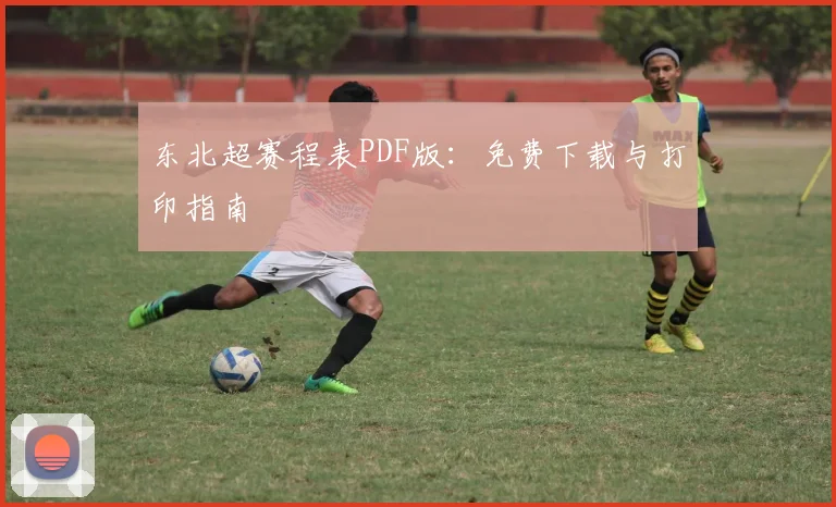 东北超赛程表PDF版：免费下载与打印指南