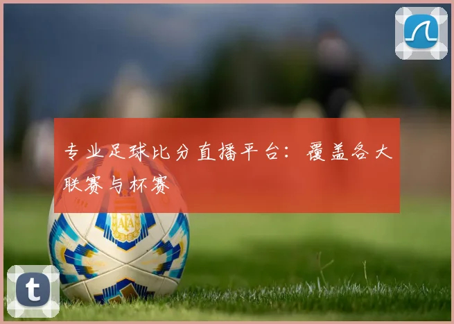 专业足球比分直播平台:覆盖各大联赛与杯赛