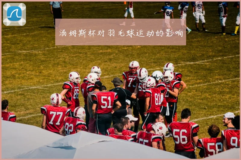 汤姆斯杯对羽毛球运动的影响