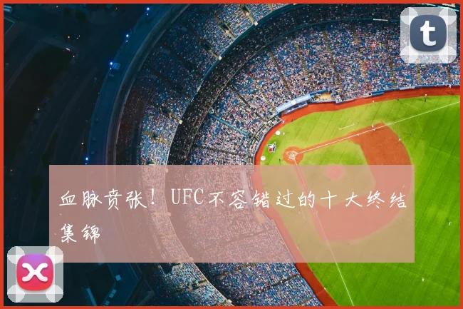 血脉贲张！UFC不容错过的十大终结集锦