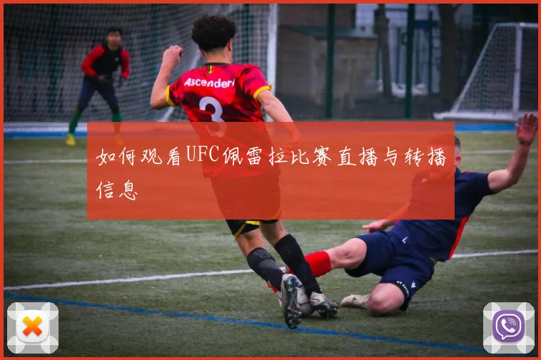 如何观看UFC佩雷拉比赛直播与转播信息
